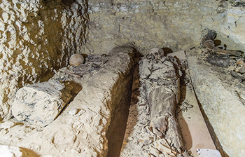 La nouvelle « mine d’or » de Saqqara