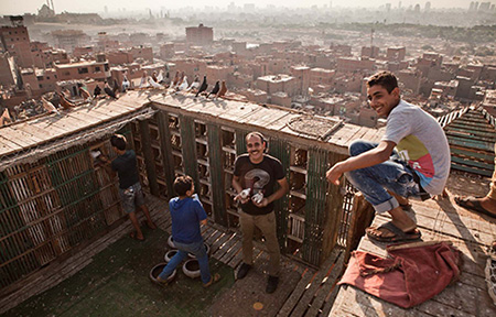 Terrasses  : Tout un monde qui surplombe Le Caire