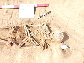 Dans le Delta, un sarcophage abritant deux momies