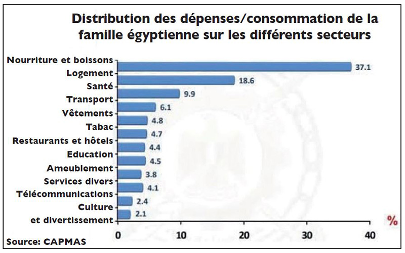 Distribution des dépenses/consommation de la famille égyptienne sur les différents secteurs