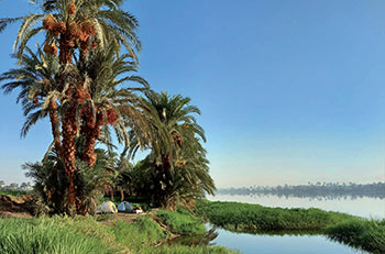 L’Egypte vue du Nil