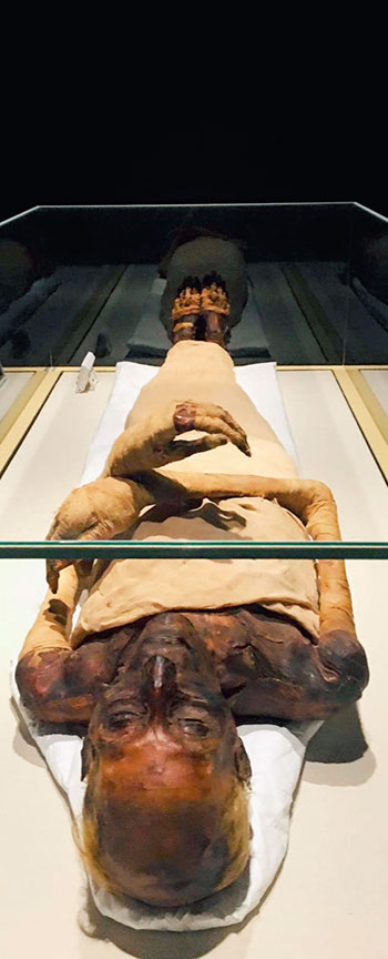 Virée dans le monde des momies