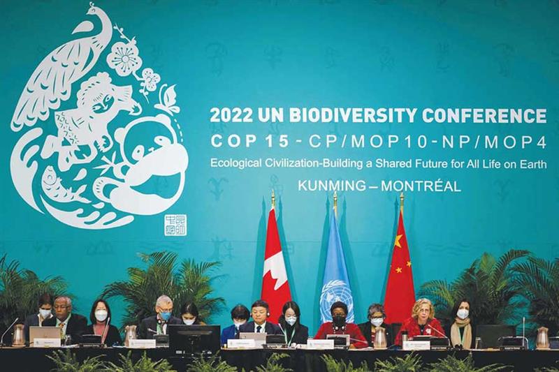 COP15 : Aider la biodiversité