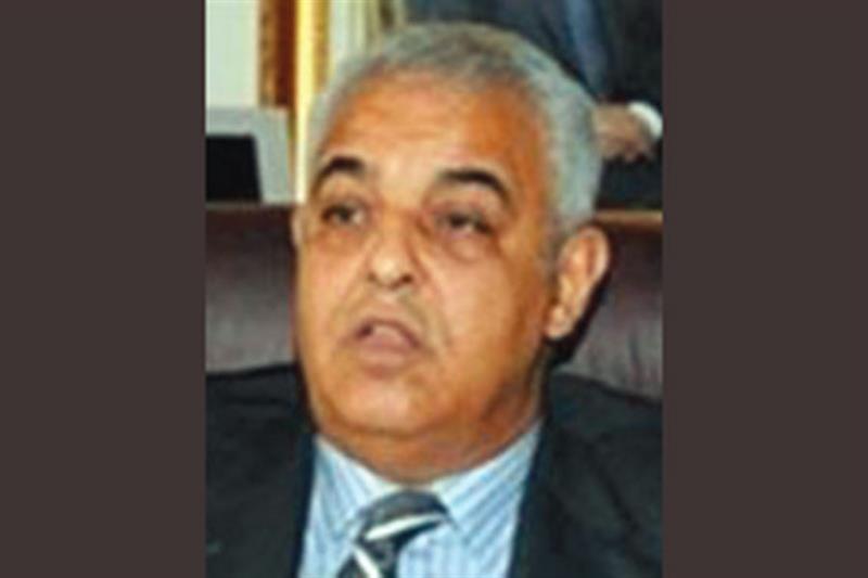 Mohamed Nasreddine Allam