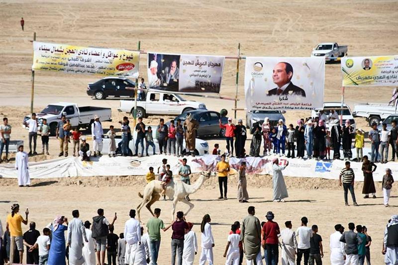 Course de chameaux à Al-Arich