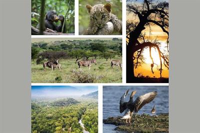  En Afrique, la biodiversité  au coeur de tous les enjeux