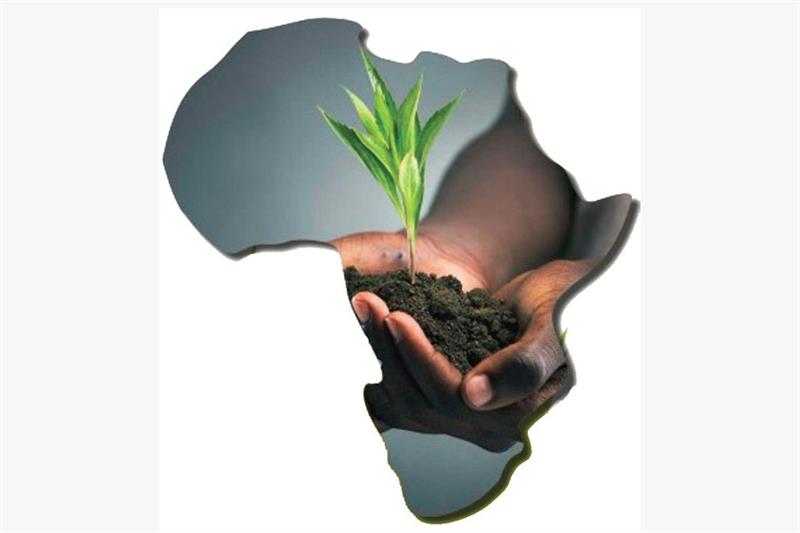 Dakar 2 : La souveraineté alimentaire africaine sous la loupe