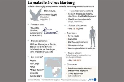  L’OMS craint une transmission plus large  du virus de Marburg