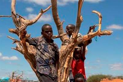 Les enfants d’Afrique  face au dérèglement climatique